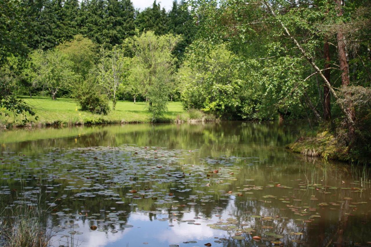 Spruce Lake Sauviat-sur-Vige Exterior photo